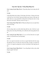 Tải Tập đọc lớp 4: Trống đồng Đông Sơn - Giải bài tập SGK Tiếng Việt 4 tập 2