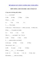 Tải Đề thi khảo sát chất lượng đầu năm lớp 6 môn tiếng Anh năm 2020 - 2021 - Đề thi khảo sát năng lực tiếng Anh lớp 6 có đáp án