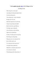 Tải Trắc nghiệm Gà Trống và Cáo - Trắc nghiệm Tập đọc lớp 4