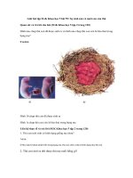 Tải Giải bài tập SGK Khoa học 5 bài 59: Sự sinh sản của thú - Giải bài tập môn Khoa học lớp 5 tập 2