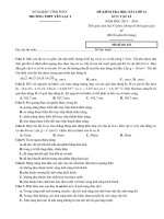 Tải Đề thi học kì 2 môn Vật lý lớp 12 trường THPT Yên Lạc 2, Vĩnh Phúc năm học 2015 - 2016 - Đề kiểm tra học kì II môn Vật lý lớp 12 có đáp án