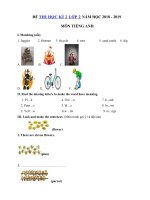Tải Đề thi học kì 2 lớp 2 môn Tiếng Anh năm học 2018 - 2019 số 8 - Đề thi môn Tiếng Anh lớp 2 học kỳ 2 theo thông tư 22 có đáp án