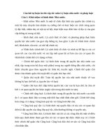 Tải Câu hỏi tự luận ôn thi cấp tốc môn Lý luận nhà nước và pháp luật - Bài tập môn Lý luận nhà nước và pháp luật có đáp án