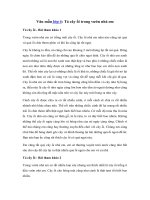 Tải Tả cây ổi trong vườn nhà em hay nhất - Top các bài văn mẫu tả cây ổi lớp 4