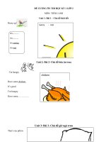 Tải Đề cương ôn thi học kỳ 1 môn tiếng Anh lớp 2 năm học 2016 - 2017 - Đề kiểm tra học kỳ 1 Tiếng Anh lớp 2