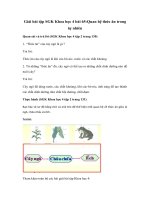 Tải Giải bài tập SGK Khoa học 4 bài 65: Quan hệ thức ăn trong tự nhiên - Giải bài tập môn Khoa học lớp 4 tập 2