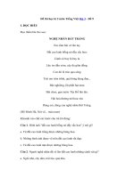 Tải Đề thi học kì 2 môn Tiếng Việt lớp 3 - Đề 9 - Đề kiểm tra học kì 2 môn Tiếng Việt lớp 3 có đáp án