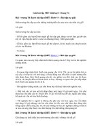 Tải Giải bài tập SBT Sinh học 11 trang 74 - Sinh trưởng và phát triển ở thực vật