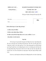 Tải Đề thi học kì 2 môn Tiếng Việt lớp 3 năm học 2018 - 2019 - Đề kiểm tra học kì 2 môn Tiếng Việt lớp 3