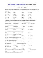 Tải Đề thi học sinh giỏi tiếng Anh lớp 5 năm 2019 - 2020 số 5 - Đề kiểm tra tiếng Anh lớp 5 có đáp án