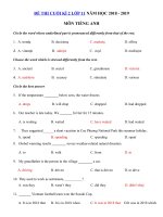 Tải Đề thi Tiếng Anh lớp 11 học kì 2 chương trình mới năm học 2018 - 2019 số 1 - Đề thi học kì 2 môn Tiếng Anh lớp 11 có đáp án