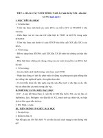 Tải Giáo án Lịch sử lớp 11 bài 4: Các nước Đông Nam Á (cuối thế kỉ 19 - đầu thế kỉ 20) - Giáo án điện tử môn Lịch sử lớp 11