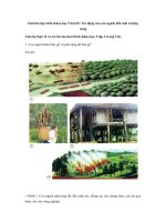 Tải Giải bài tập SGK Khoa học 5 bài 65: Tác động của con người đến môi trường rừng - Giải bài tập môn Khoa học lớp 5 tập 2