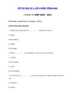 Tải Bộ Đề thi học kì 1 môn tiếng Anh lớp 8 Thí điểm trường THCS Bình Giang, Kiên Giang - Bộ đề thi học kì 1 lớp 8 môn tiếng Anh có đáp án