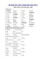 Tải Đề thi khảo sát chất lượng đầu năm lớp 5 môn tiếng Anh số 2 - Đề kiểm tra đầu năm môn tiếng Anh 5 có đáp án