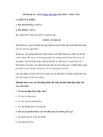 Tải Đề thi học kì 1 môn Tiếng Việt lớp 3 năm 2019 - 2020 - Đề 1 - Đề kiểm tra học kì 1 lớp 3 môn Tiếng Việt có đáp án