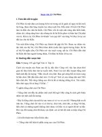 Tải Soạn bài Chí Phèo ngắn gọn - Soạn văn Chí Phèo