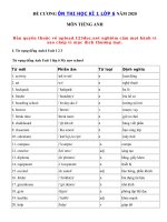 Tải Từ vựng - Ngữ pháp tiếng Anh lớp 6 giữa học kì 1 năm 2020 - 2021 - Lý thuyết giữa kì 1 lớp 6 môn tiếng Anh chi tiết nhất