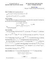 Tải Đề thi học sinh giỏi môn Toán lớp 11 năm học 2019 - 2020 trường THPT Nguyễn Duy Trinh, Nghệ An - Đề thi HSG môn Toán lớp 11 có đáp án