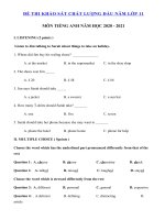 Tải Đề khảo sát đầu năm lớp 11 môn tiếng Anh năm 2020 - 2021 - Đề thi khảo sát chất lượng đầu năm lớp 11 môn tiếng Anh có đáp án