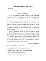 Tải Đề thi học kì 2 môn Tiếng Việt lớp 3 - Đề 10 - Đề kiểm tra học kì 2 môn Tiếng Việt lớp 3 có đáp án