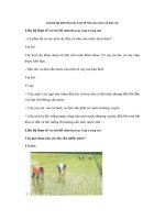 Tải Giải bài tập SGK Khoa học 4 bài 58: Nhu cầu nước của thực vật - Giải bài tập môn Khoa học lớp 4 tập 2