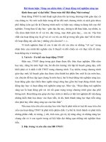 Tải Tham luận: Nâng cao nhân thức về hoạt động trải nghiệm sáng tạo - Tham luận tại Hội nghị Công chức viên chức