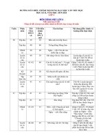 Tải Phân phối chương trình học kì 2 lớp 4 môn Tiếng việt theo chương trình Giảm tải - Kế hoạch dạy học lớp 4 học kì 2 môn Tiếng việt