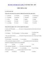 Tải Đề thi học kì 2 lớp 12 môn Tiếng Anh có file nghe năm học 2018 - 2019 số 2 - Đề thi môn Tiếng Anh lớp 12 học kì 2 có đáp án