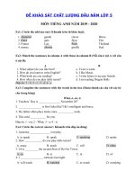 Tải Đề kiểm tra đầu năm môn tiếng Anh lớp 5 có đáp án - Đề thi khảo sát chất lượng đầu năm lớp 5 môn tiếng Anh năm 2019 - 2020