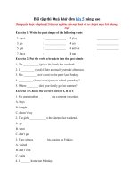 Tải Bài tập thì Quá khứ đơn lớp 5 nâng cao - Ngữ pháp Tiếng Anh lớp 5