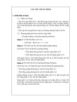 Tải Sáng kiến kinh nghiệm: Phương pháp giải toán vận tốc trung bình - Cách tính bài toán vận tốc trung bình