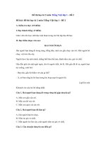 Tải Đề thi học kì 2 môn Tiếng Việt lớp 1 - Đề 2 - Đề kiểm tra học kì 2 môn Tiếng Việt lớp 1 có đáp án