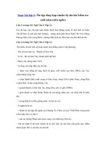 Tải Soạn bài Ôn tập tổng hợp chuẩn bị cho bài kiểm tra cuối năm (siêu ngắn) - Soạn văn 6 siêu ngắn