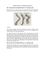 Tải Giải SBT Sinh học 12: Bài tập tự giải trang 91 - Giải SBT Sinh học lớp 12