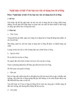 Tải Nghị luận xã hội về tác hại của việc sử dụng bao bì ni lông - Nghị luận 200 chữ thi THPT Quốc gia