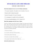 Tải Đề kiểm tra tiếng Anh lớp 5 học kỳ 2 năm 2019 - 2020 số 2 - Đề tiếng Anh lớp 5 kì 2 có đáp án
