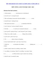 Tải Đề thi khảo sát chất lượng đầu năm lớp 11 môn tiếng Anh năm 2020 - 2021 - Đề kiểm tra đầu năm môn tiếng Anh lớp 11
