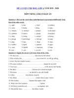 Tải Đề ôn thi học sinh giỏi lớp 6 môn Tiếng Anh năm học 2019 - 2020 số 6 - Đề thi học sinh giỏi môn tiếng Anh 6 có đáp án