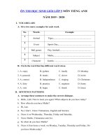 Tải Đề luyện thi học sinh giỏi lớp 5 môn Tiếng Anh năm 2019 - 2020 số 3 - Đề thi học sinh giỏi môn tiếng Anh 5