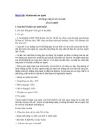 Tải Soạn bài Số phận con người - Soạn bài môn Ngữ văn lớp 12 học kì II