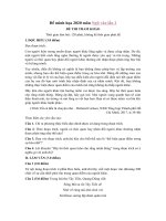 Tải Đáp án đề minh họa 2020 môn Ngữ văn lần 2 - Đề thi tham khảo tốt nghiệp THPT năm 2020 môn Ngữ văn