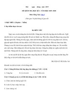 Tải Bộ đề thi học kì 1 lớp 3 năm 2019 - 2020 theo Thông tư 22 có đáp án - Đề kiểm tra học kì 1 lớp 3 đủ 04 mức