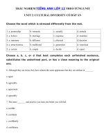 Tải Trắc nghiệm tiếng Anh Unit 2 lớp 12 Cultural Diversity hệ 7 năm - Bài tập tiếng Anh lớp 12 Unit 2 Cultural Diversity có đáp án