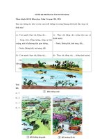 Tải Giải bài tập SGK Khoa học 5 bài 62: Môi trường - Giải bài tập môn Khoa học lớp 5 tập 2