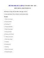 Tải Bộ đề thi học kì 1 tiếng Anh lớp 6 có file nghe và đáp án - 2 Đề thi tiếng Anh lớp 6 học kì 1 có file nghe + đáp án