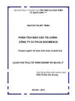 luận văn thạc sĩ phân tích báo cáo tài chính công ty cổ phần docimecxo 