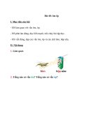 Tải Giải bài tập Tiếng Việt lớp 1 trang 86 Bài 48: ôm, ôp - Sách Cánh Diều