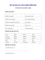 Tải Đề thi tiếng Anh lớp 3 học kỳ 2 năm 2019 - 2020 số 3 - Đề tiếng Anh lớp 3 học kì 2 có đáp án