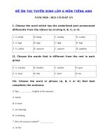 Tải Đề ôn thi vào lớp 6 môn tiếng Anh năm 2020 - 2021 - Đề thi tiếng Anh vào lớp 6 có đáp án